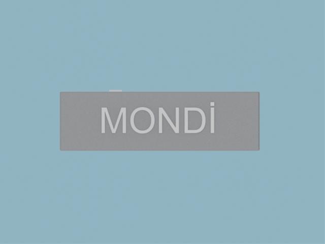 0161303622, Logo Mondi Yeni